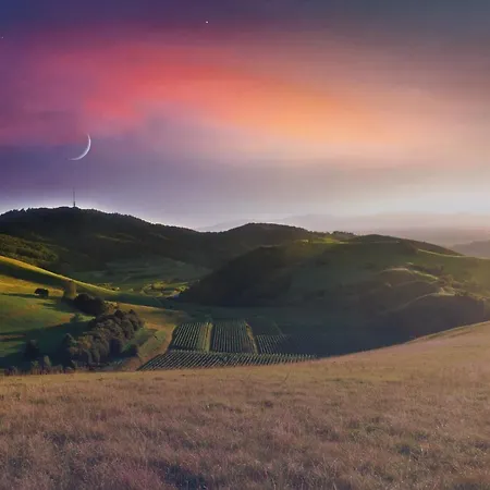 Penthouse * Bahlingen